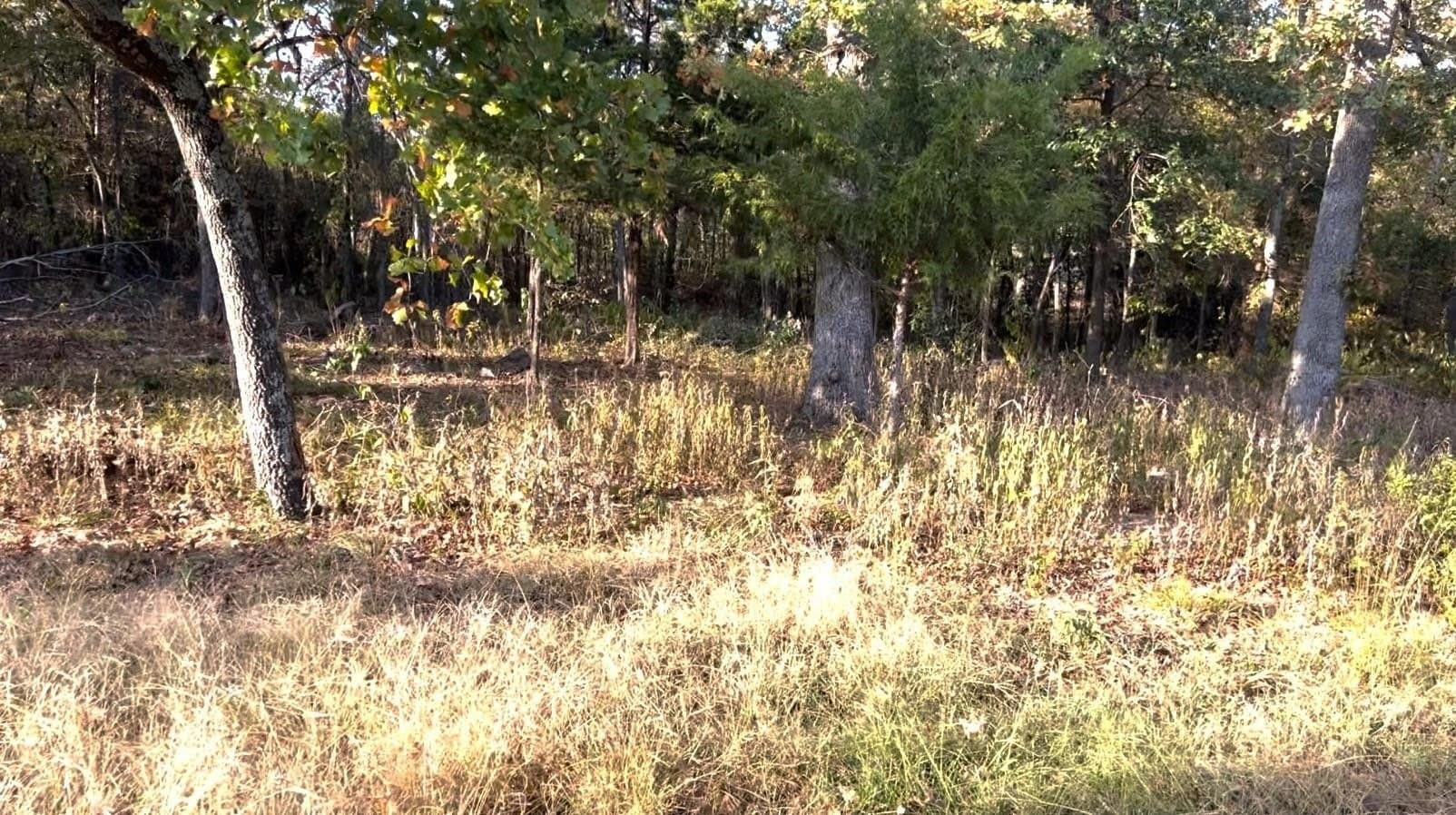 1.14 acres in Hopkins County - photo 7