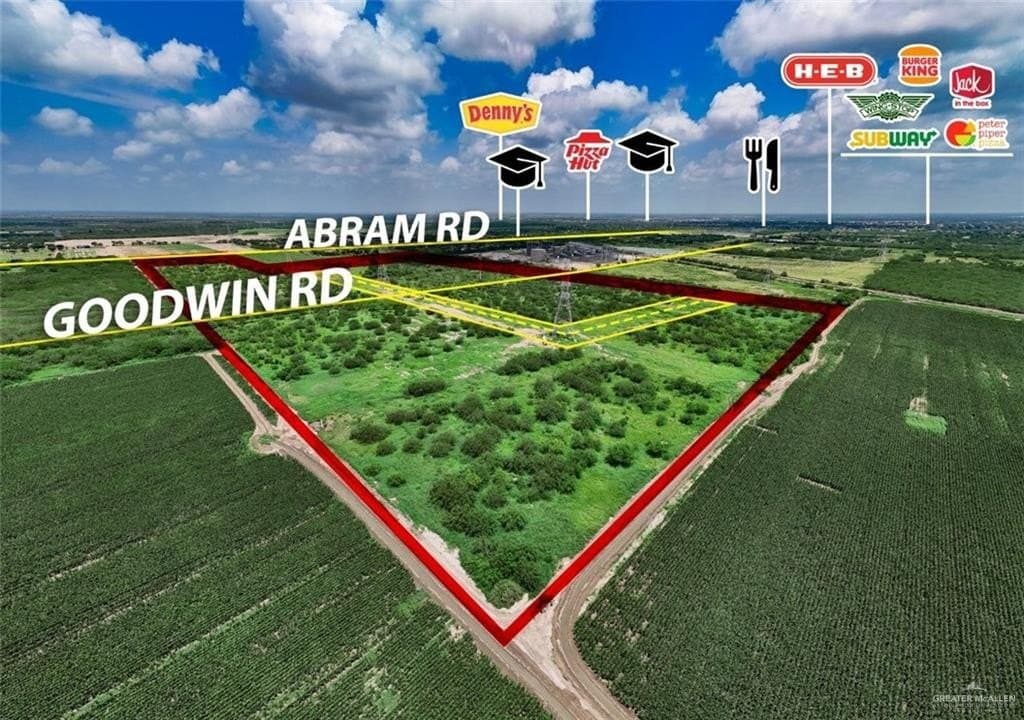 98 acres in Hidalgo County gallery image 2