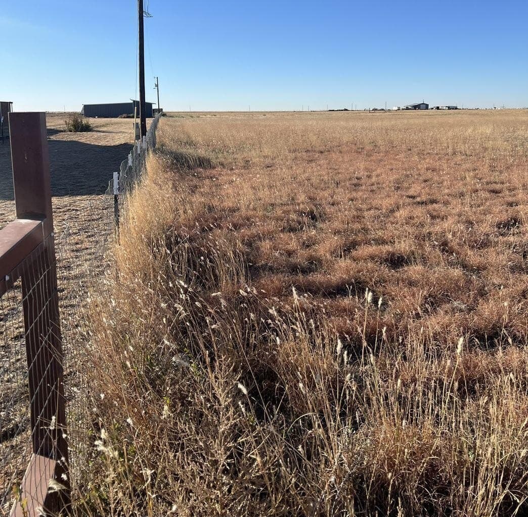 24 acres in Lubbock County - photo 17