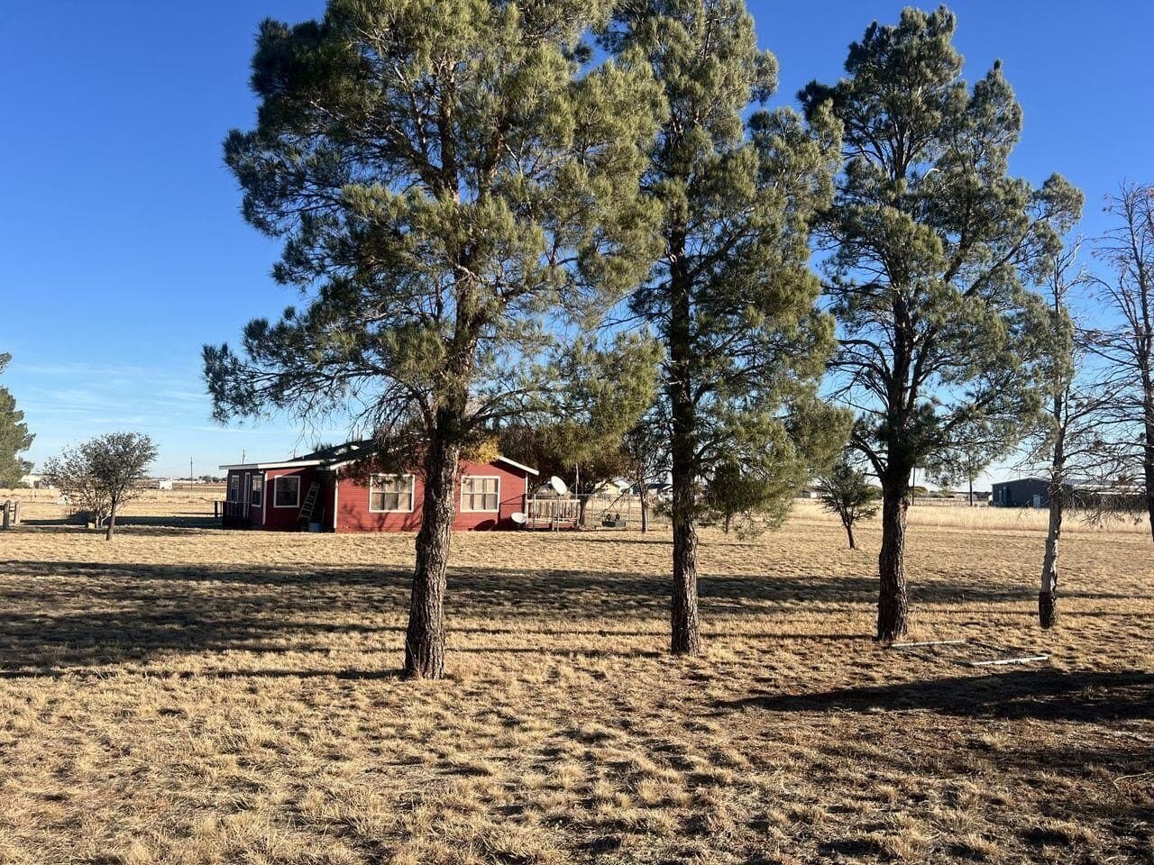 24 acres in Lubbock County - photo 6