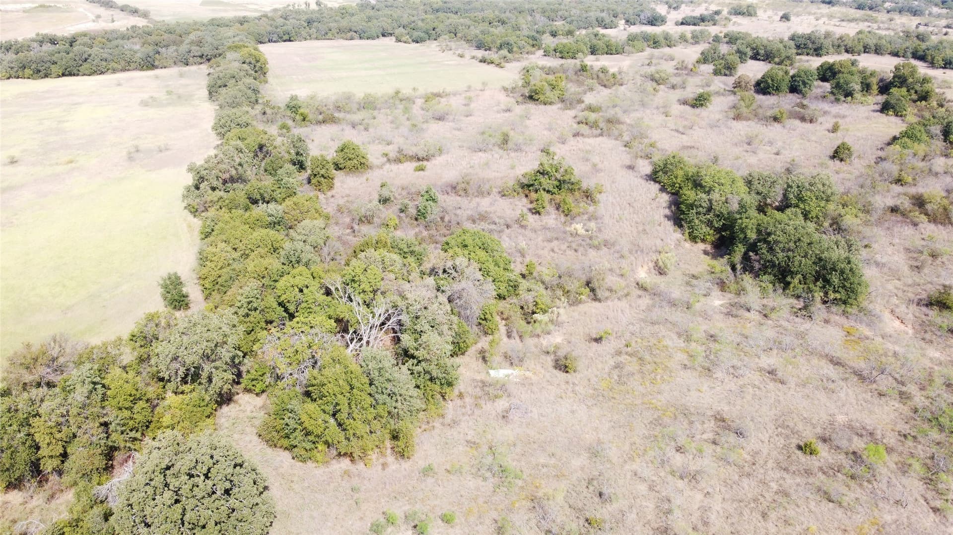 162.78 acres in Erath County - photo 26