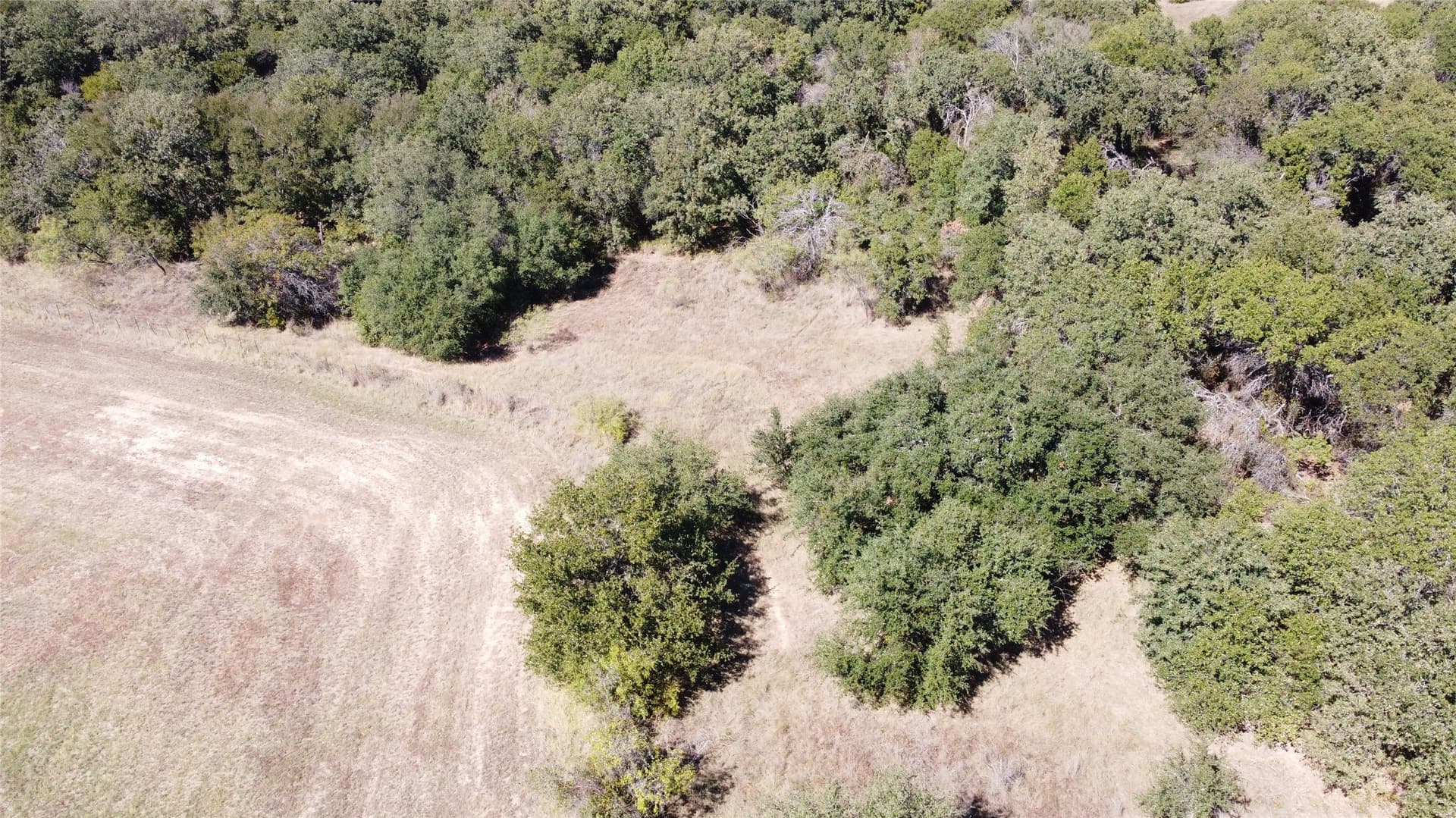 162.78 acres in Erath County - photo 18