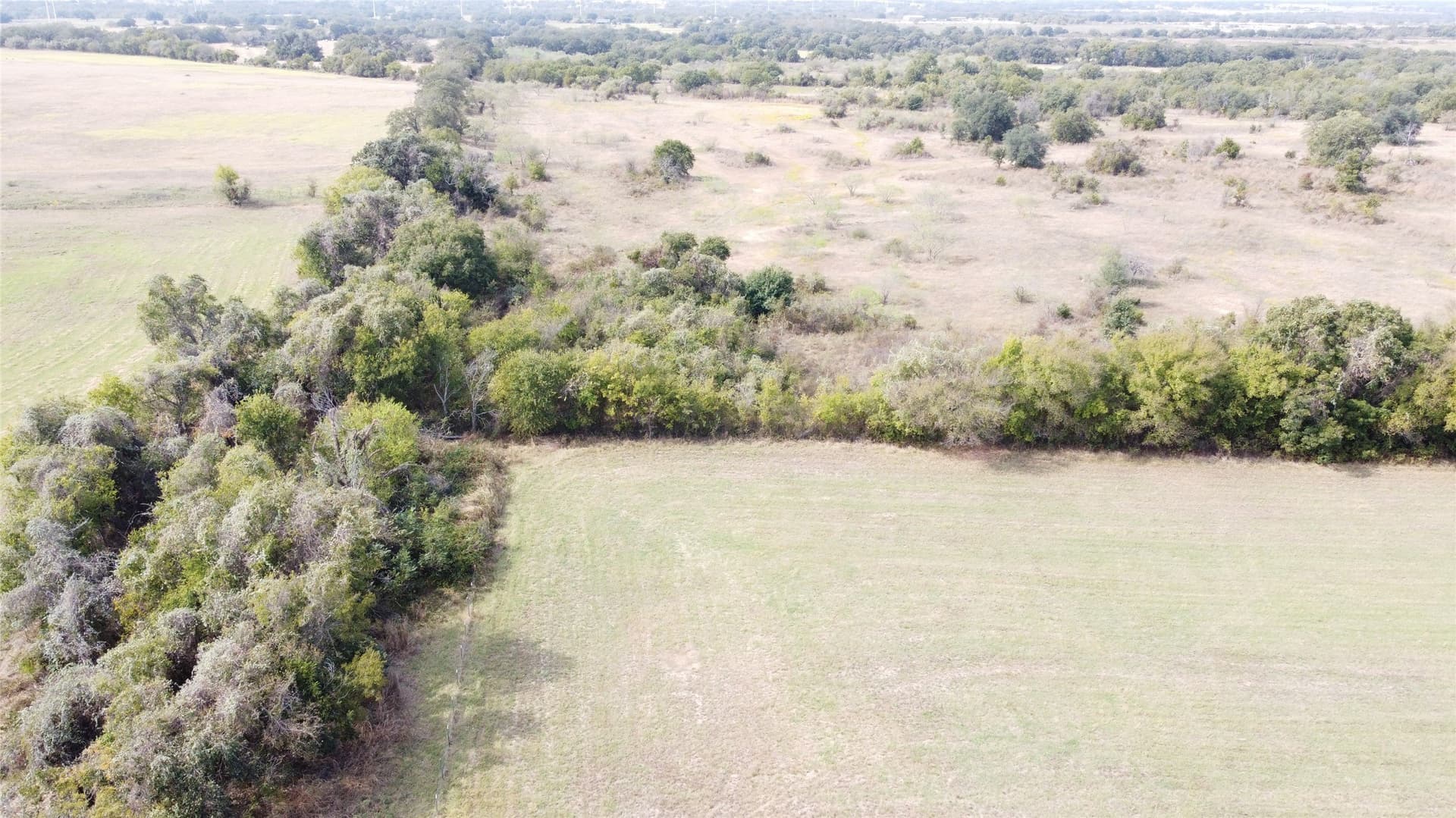 162.78 acres in Erath County - photo 9