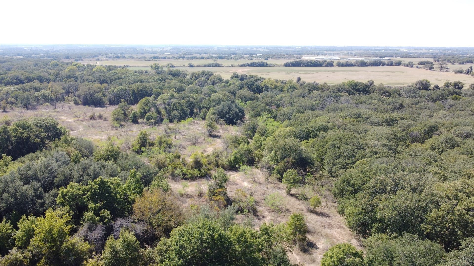 162.78 acres in Erath County - photo 12