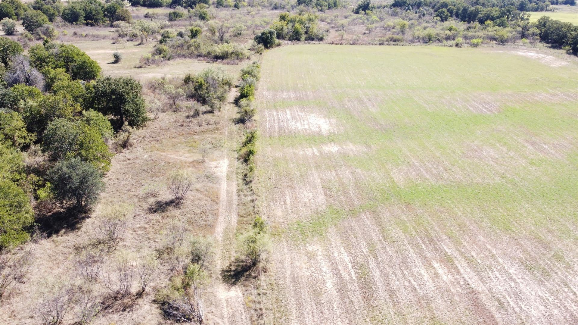 162.78 acres in Erath County - photo 16