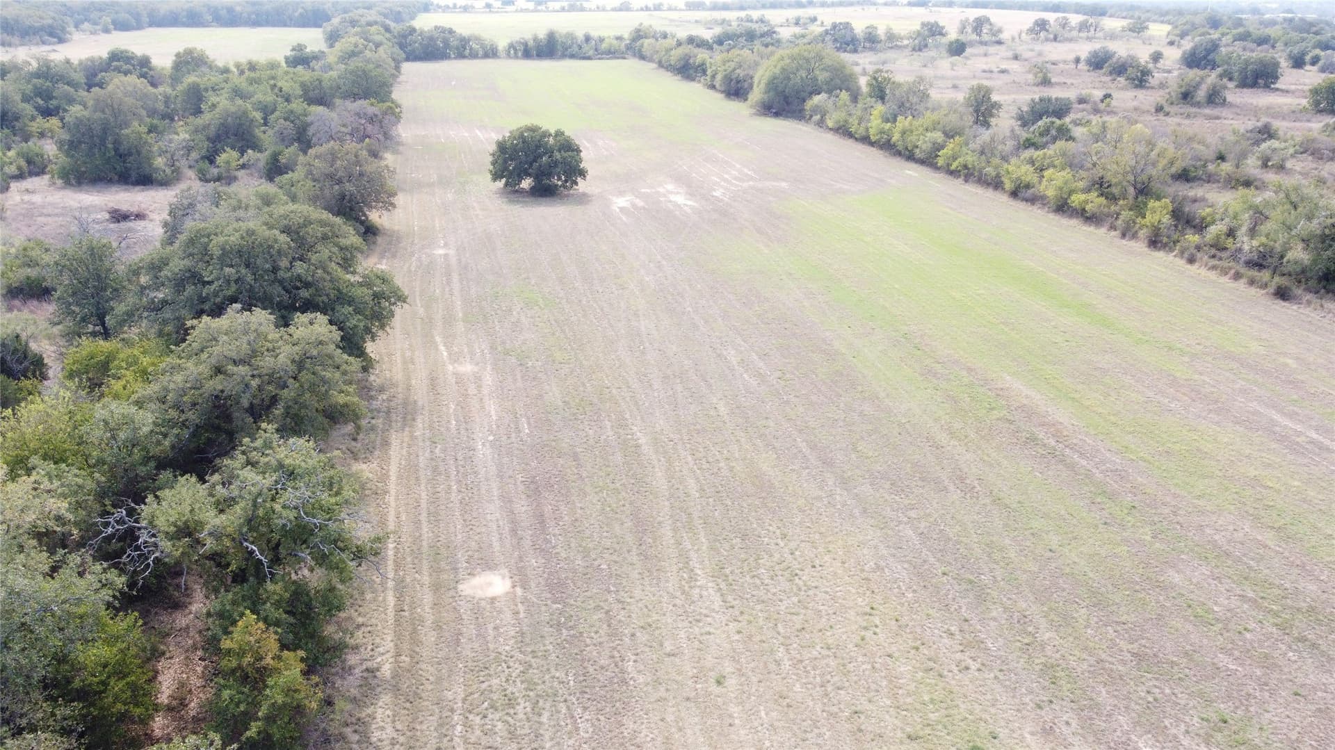 162.78 acres in Erath County - photo 20