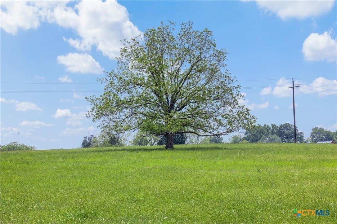 30.8 acres in Milam County - photo 32
