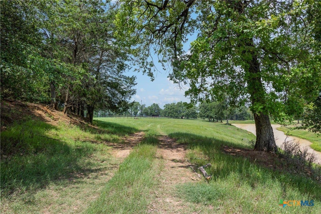 30.8 acres in Milam County - photo 20