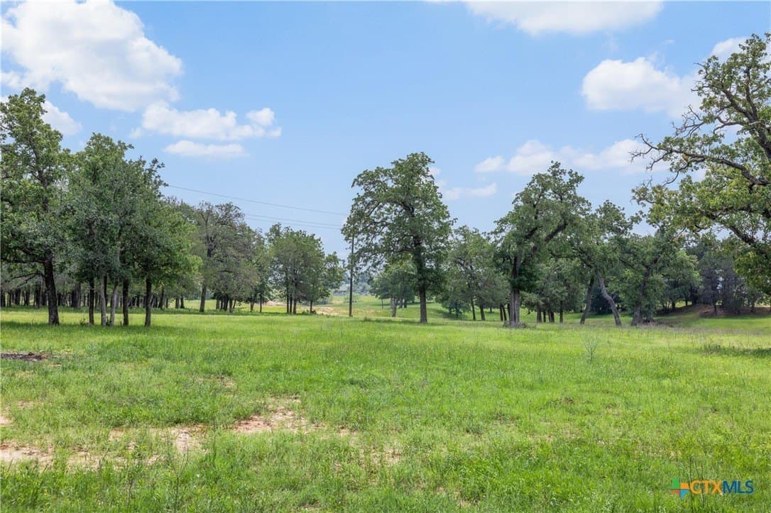 30.8 acres in Milam County - photo 19
