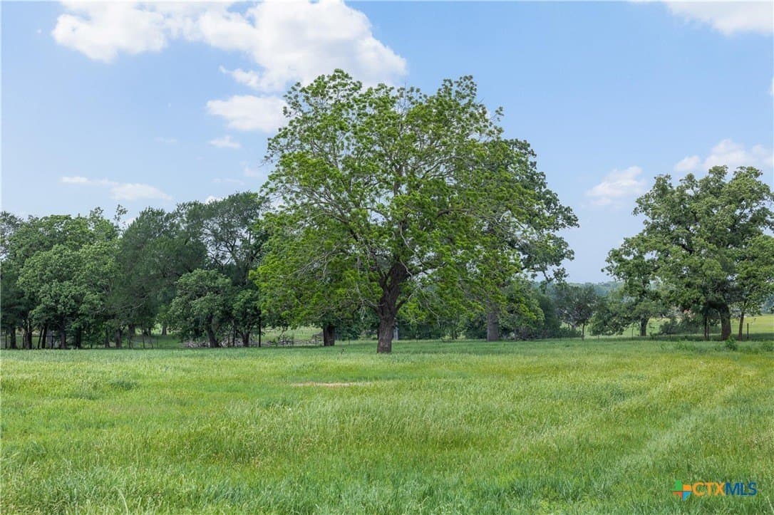 30.8 acres in Milam County - photo 23