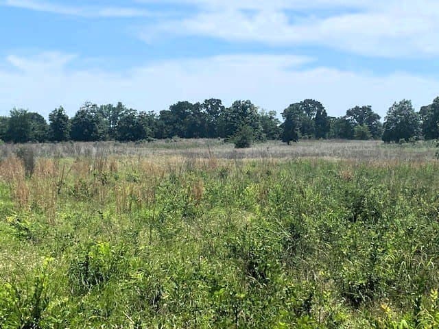 50 acres in HENDERSON County gallery image 2