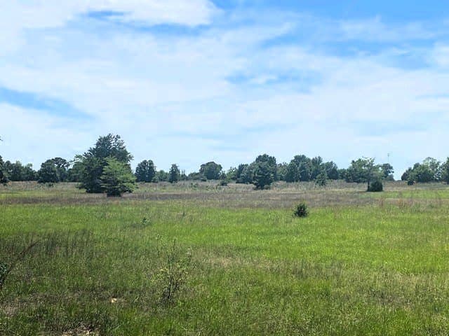 50 acres in HENDERSON County - photo 18