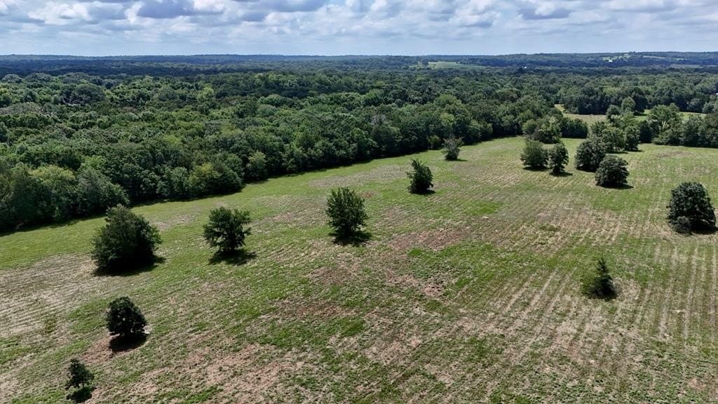 50 acres in HENDERSON County - photo 11
