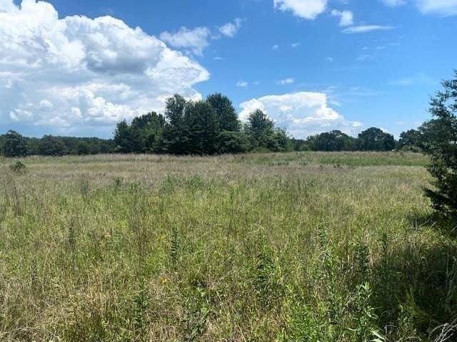 50 acres in HENDERSON County gallery image 4