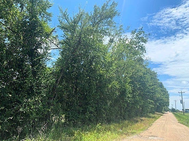50 acres in HENDERSON County - photo 20