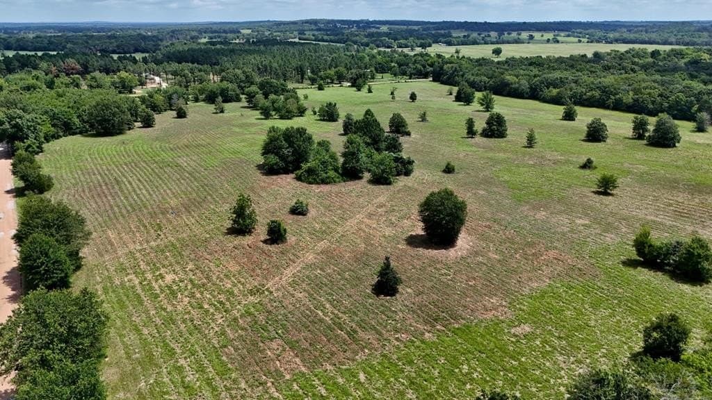 50 acres in HENDERSON County - photo 12