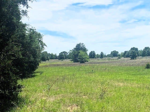 50 acres in HENDERSON County - photo 17