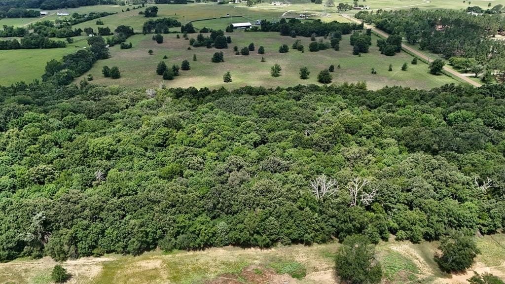 50 acres in HENDERSON County - photo 15