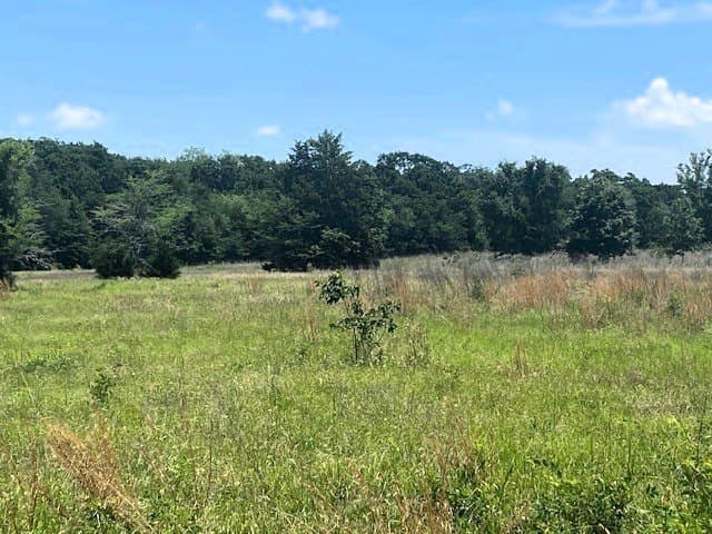 50 acres in HENDERSON County gallery image 3