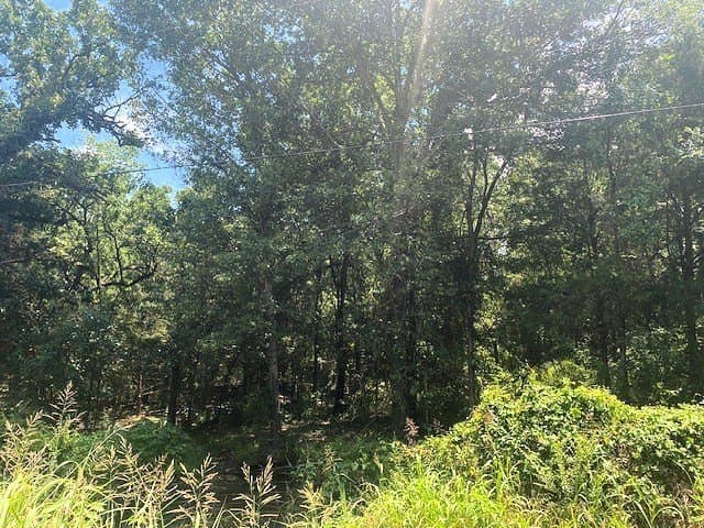 50 acres in HENDERSON County - photo 16