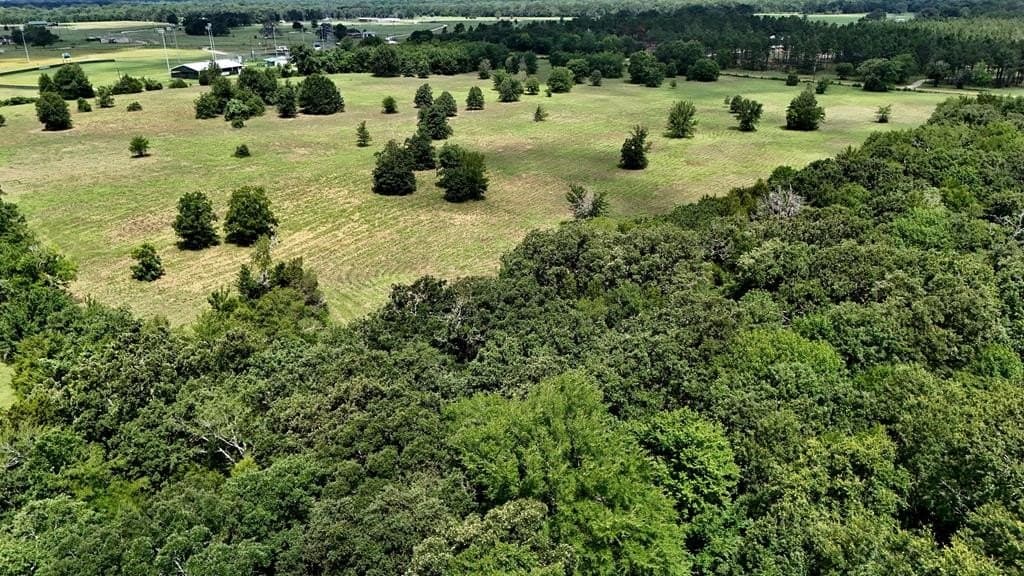 50 acres in HENDERSON County - photo 13