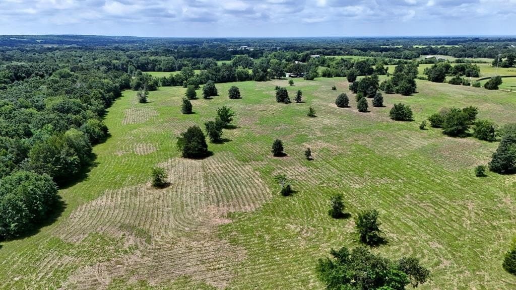 50 acres in HENDERSON County gallery image 2