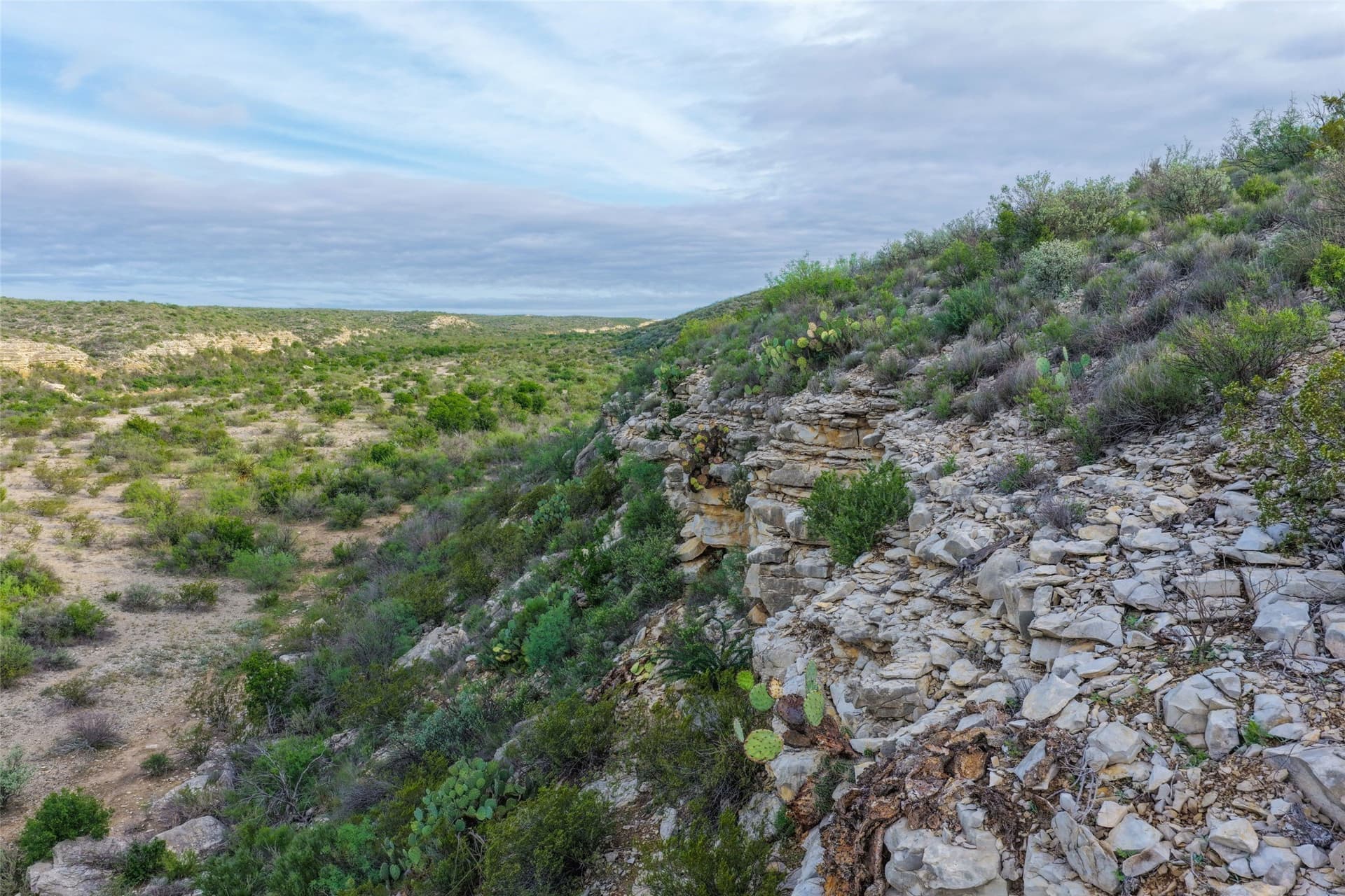 933.44 acres in Terrell County - photo 11