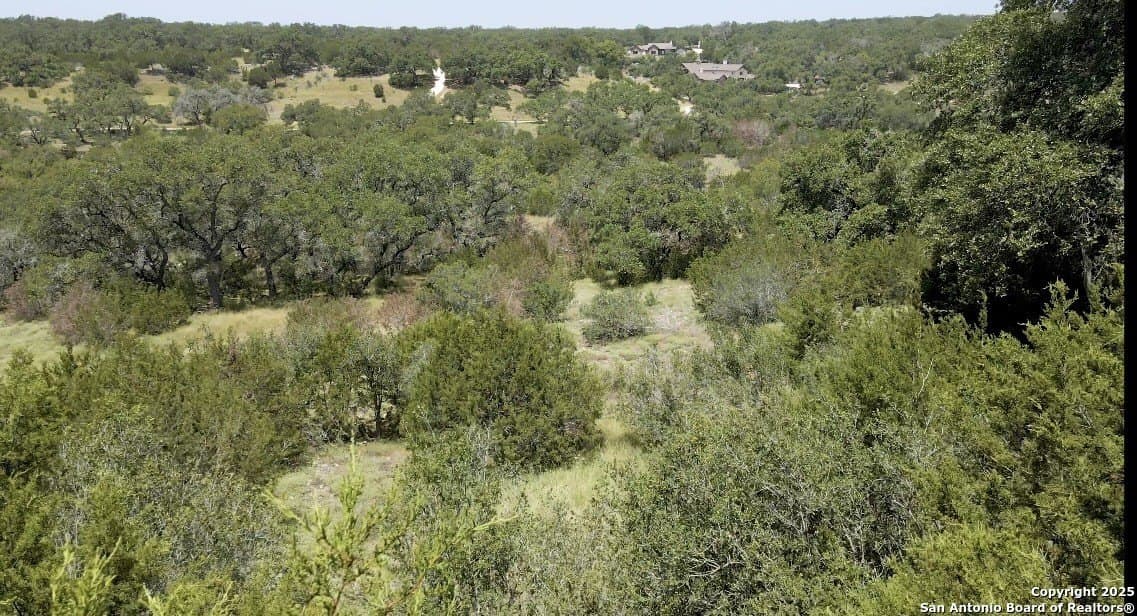 1.57 acres in Comal County gallery image 3