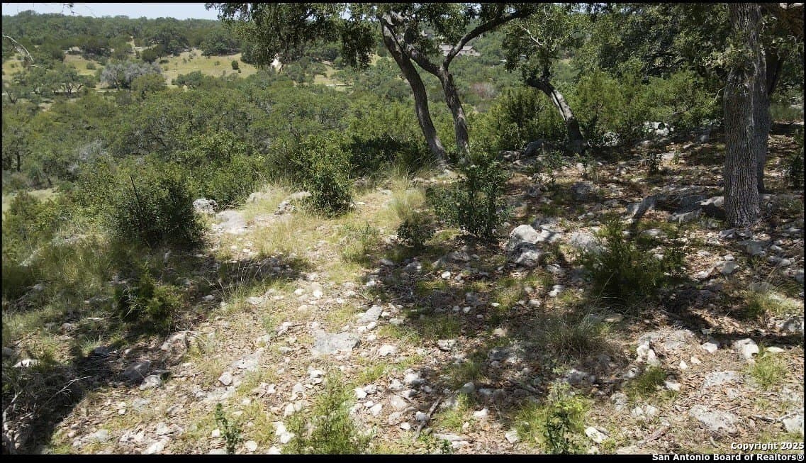 1.57 acres in Comal County gallery image 2