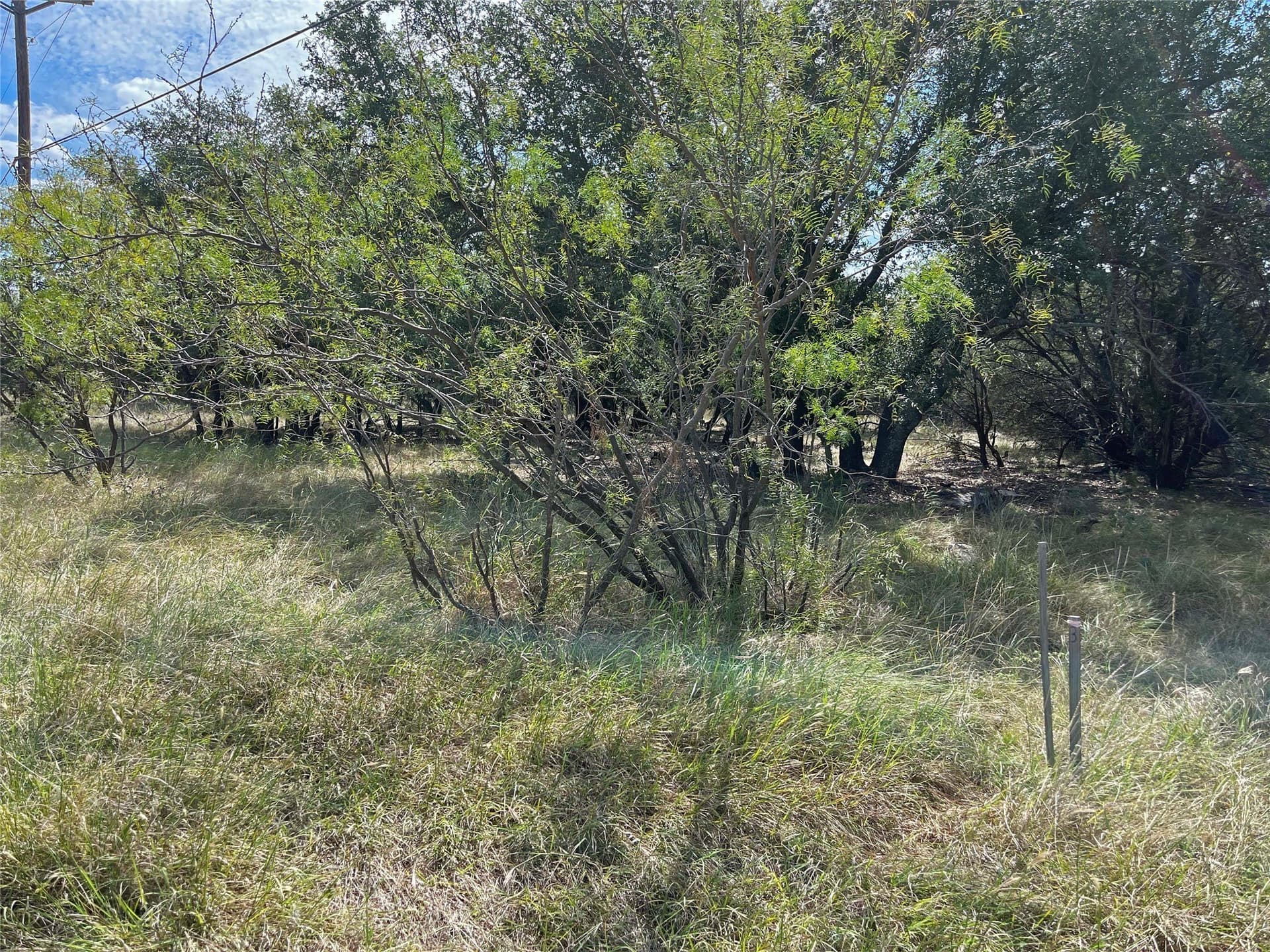 0.27 acres in Palo Pinto County - photo 6