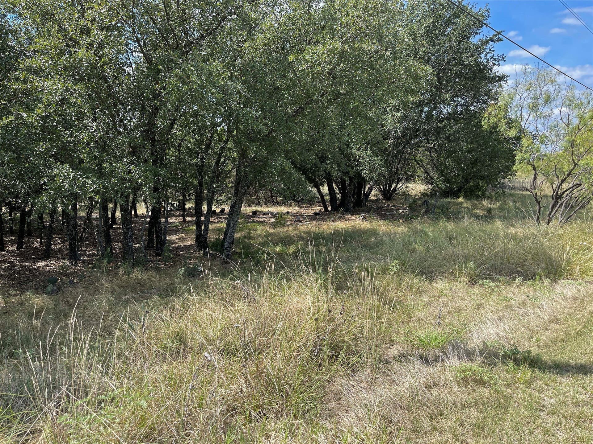 0.27 acres in Palo Pinto County - photo 3