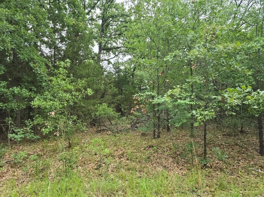 0.07 acres in Henderson County