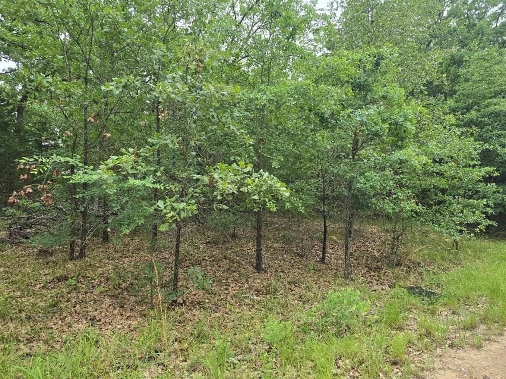 0.07 acres in Henderson County gallery image 2