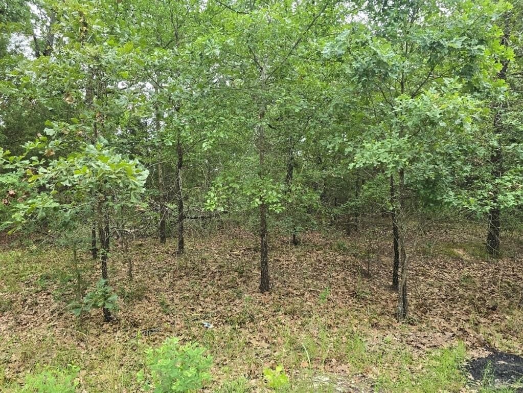 0.07 acres in Henderson County featured view