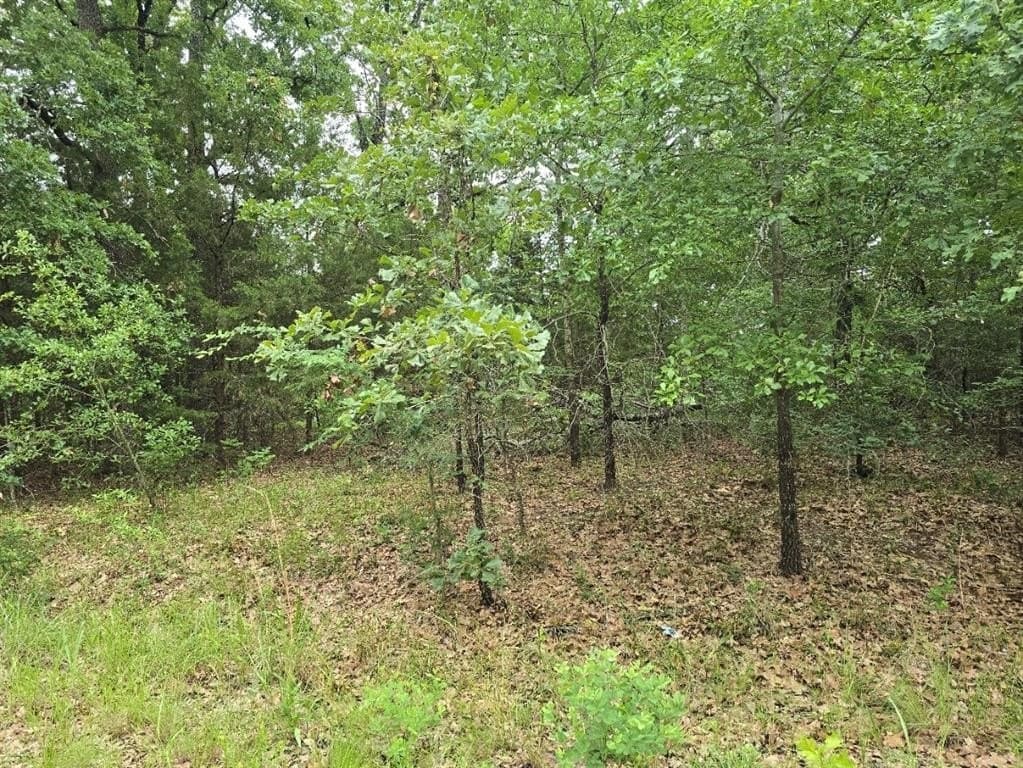 0.07 acres in Henderson County gallery image 4