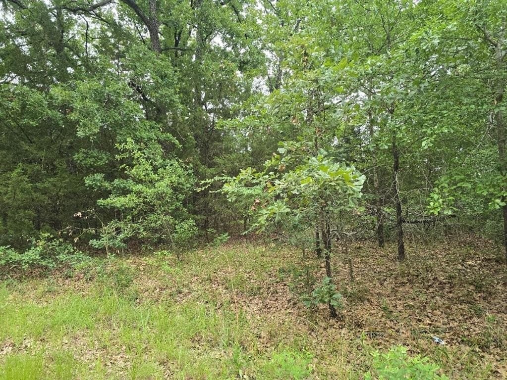 0.07 acres in Henderson County gallery image 3