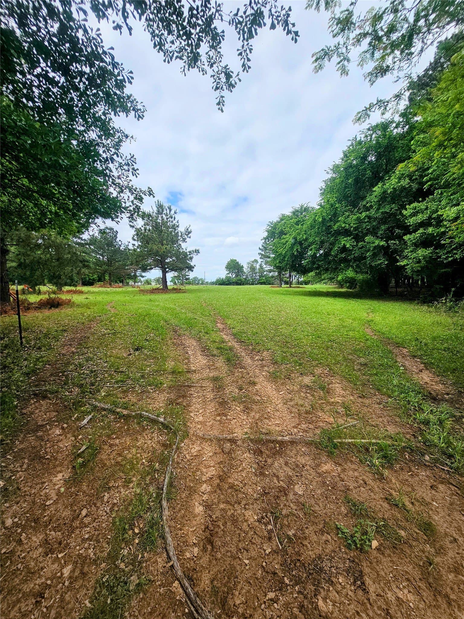 17.73 acres in Lamar County - photo 5