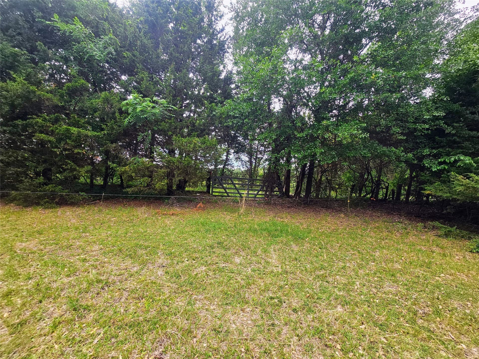 17.73 acres in Lamar County - photo 7