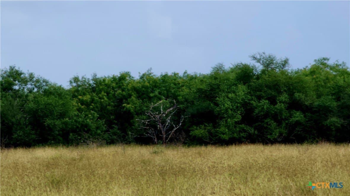 21 acres in Victoria County featured view