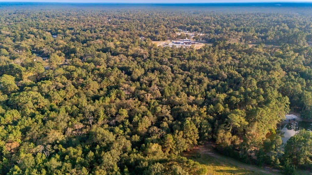 12.03 acres in Texas County - photo 5