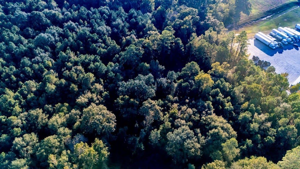 12.03 acres in Texas County - photo 13