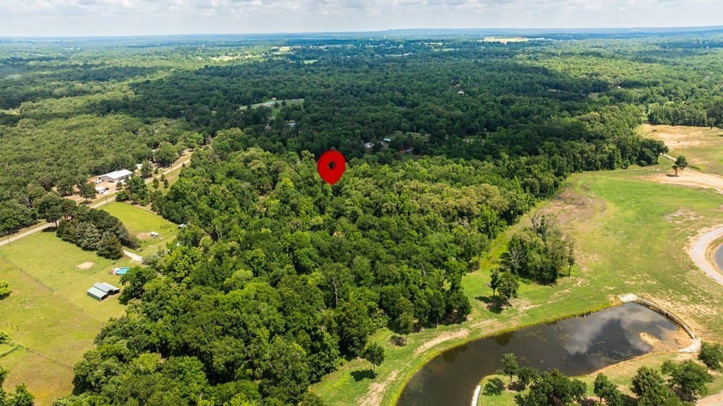 8 acres in ANDERSON County gallery image 3