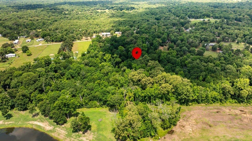 8 acres in ANDERSON County gallery image 4