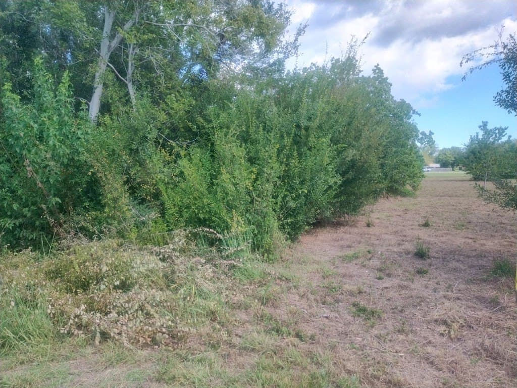 0.62 acres in Palacios Area County gallery image 3