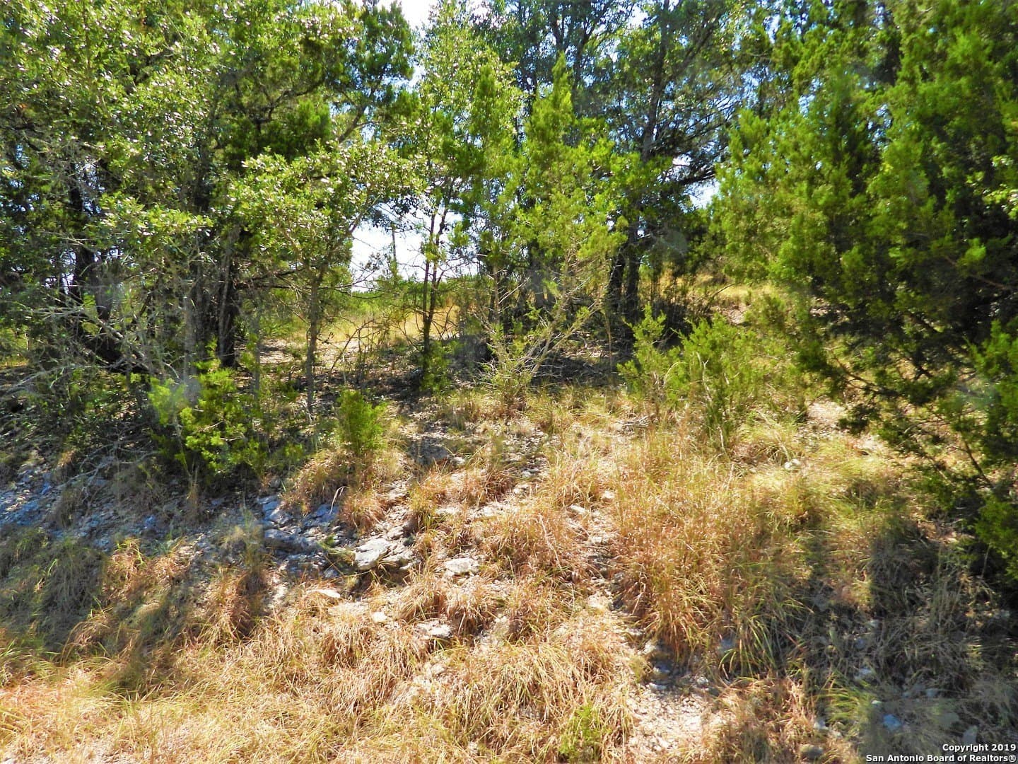 0.47 acres in Bandera County - photo 8