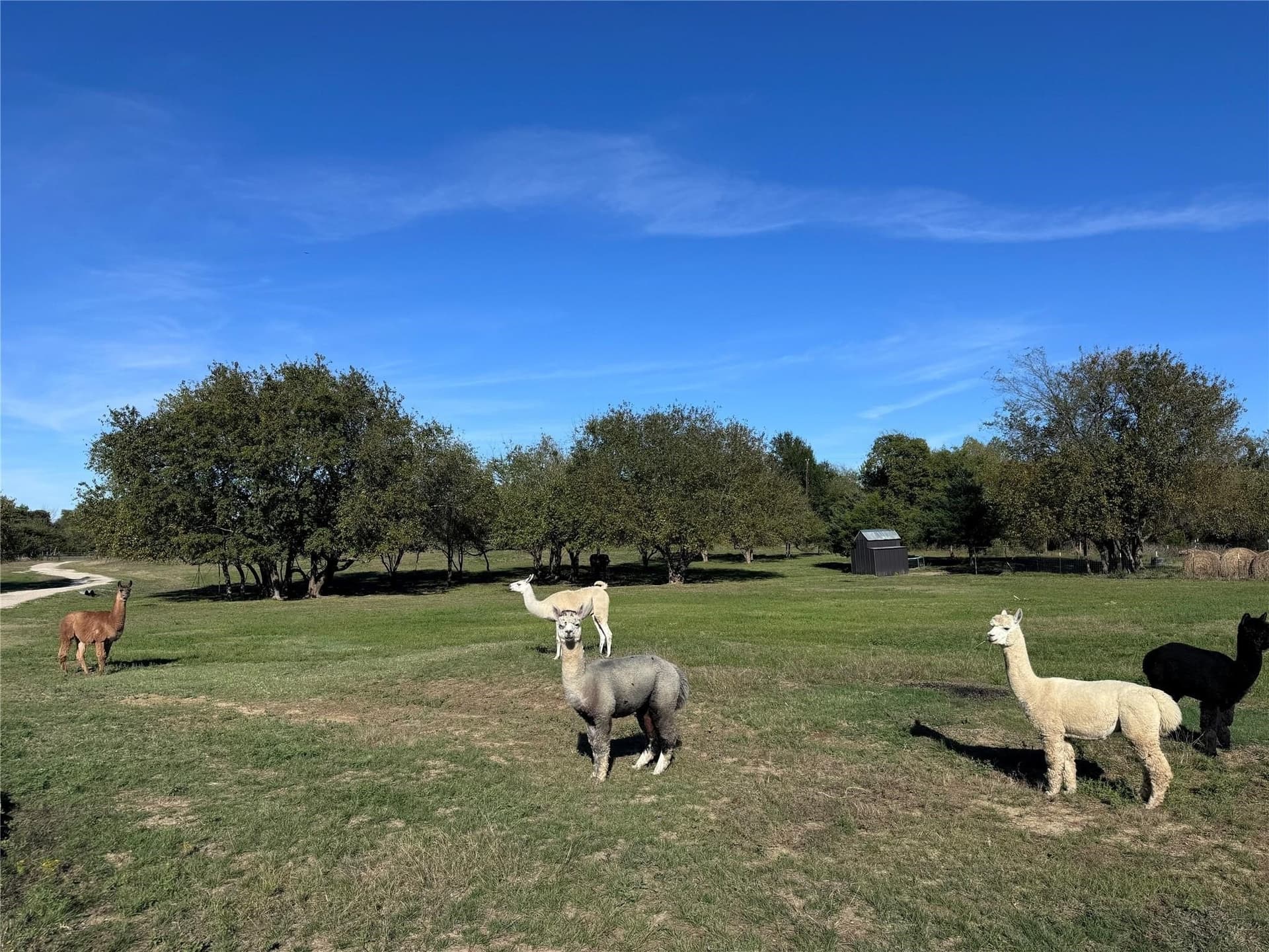 82.34 acres in Hunt County - photo 34
