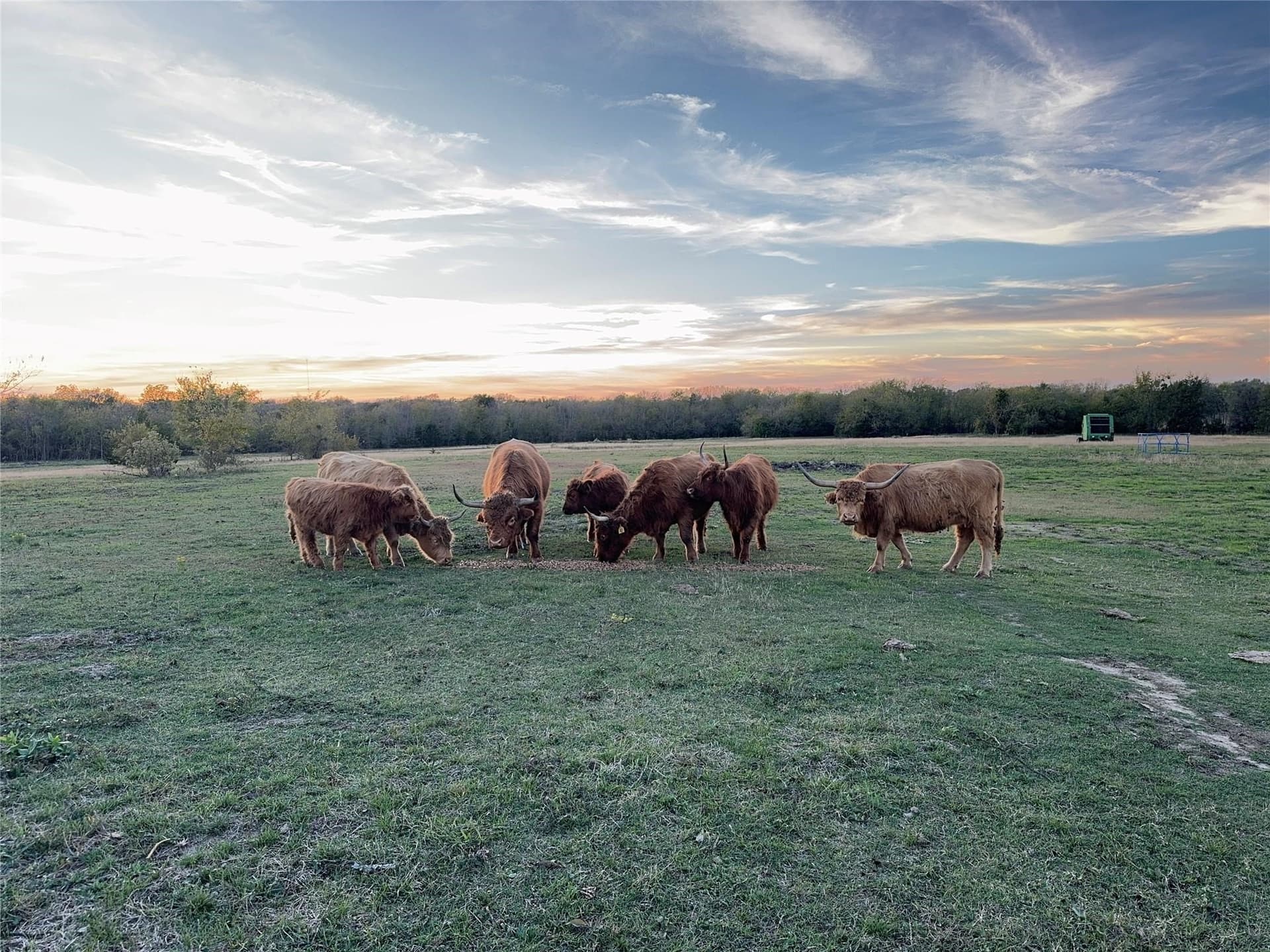 82.34 acres in Hunt County - photo 32