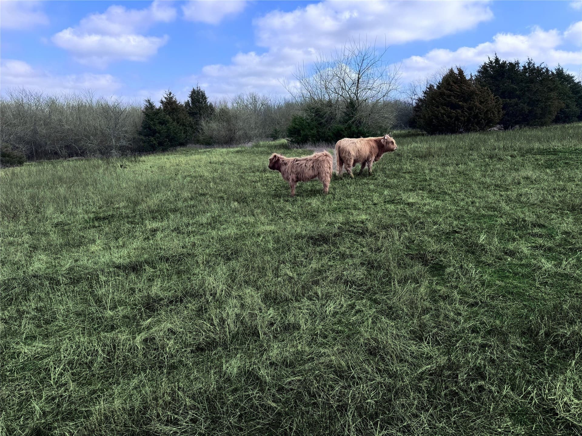 82.34 acres in Hunt County - photo 35