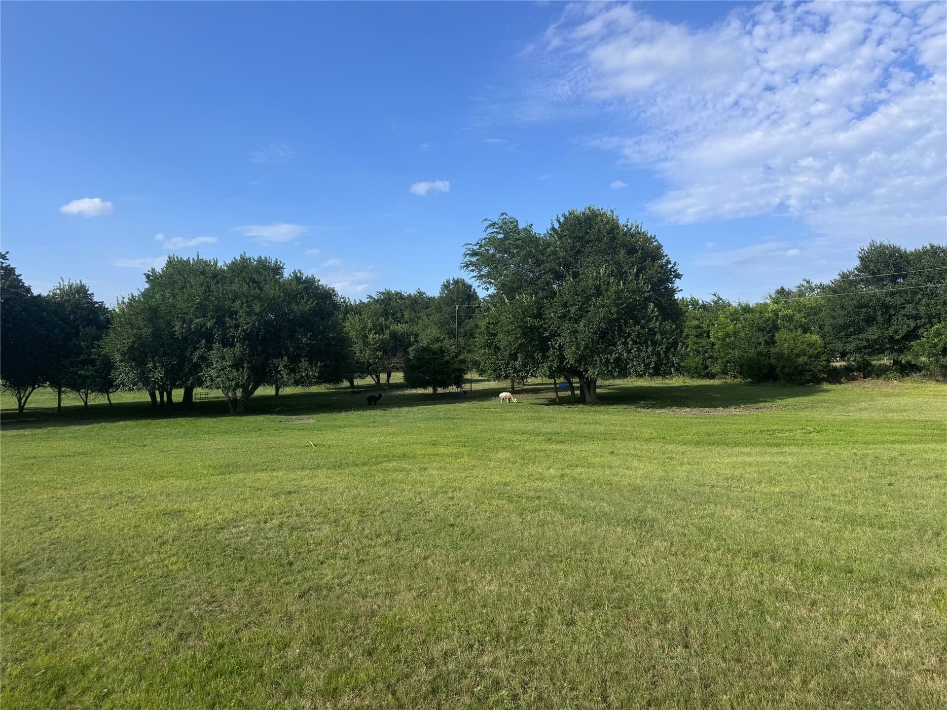 82.34 acres in Hunt County - photo 31