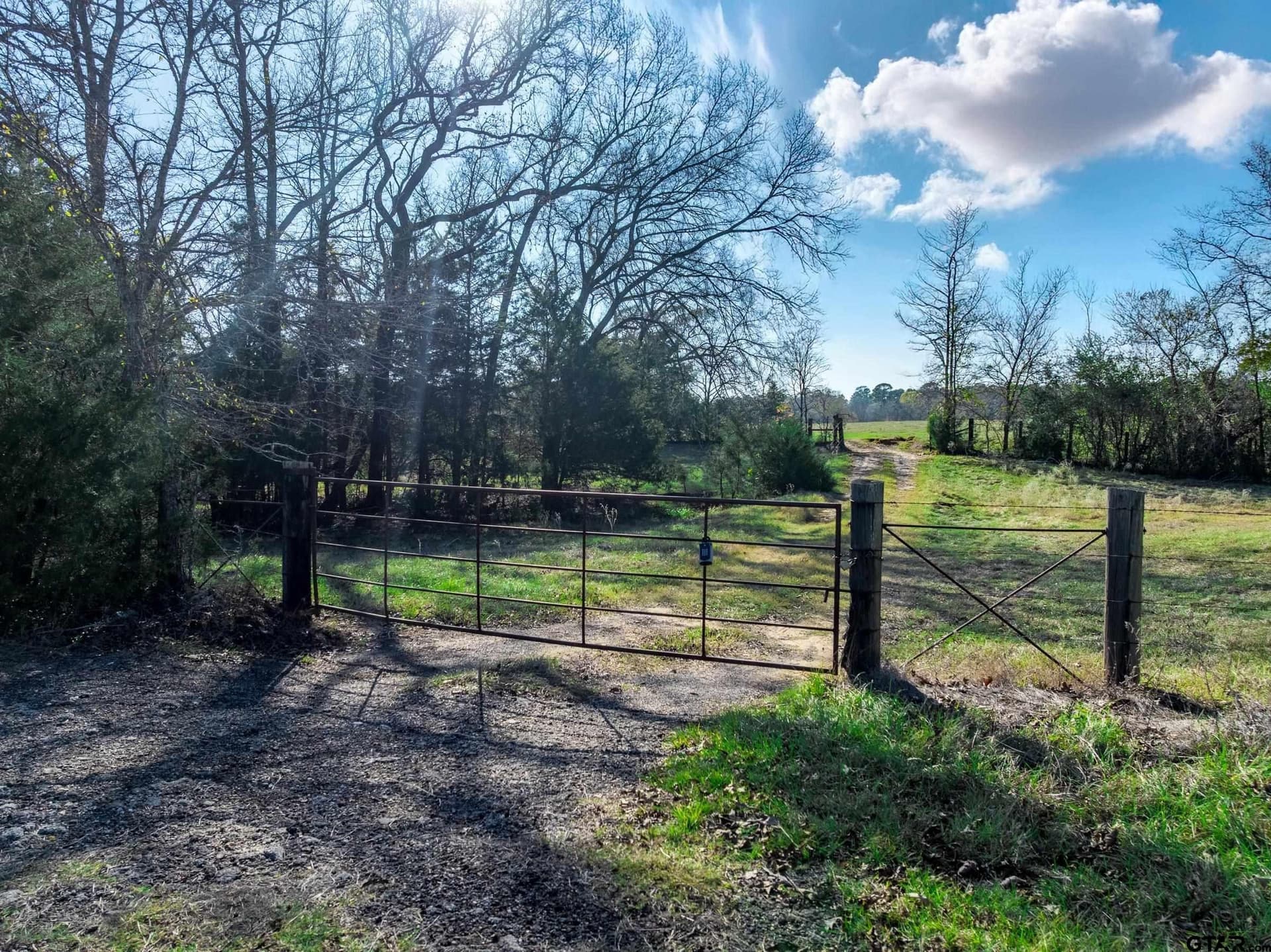 38 acres in Anderson County gallery image 2